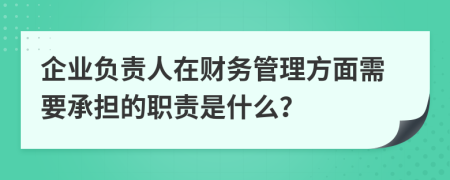 企业负责人在财务管理方面需要承担的职责是什么？