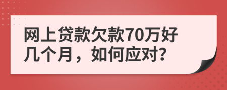 网上贷款欠款70万好几个月，如何应对？