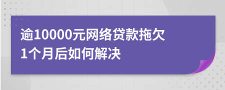 逾10000元网络贷款拖欠1个月后如何解决