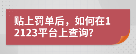 贴上罚单后，如何在12123平台上查询？