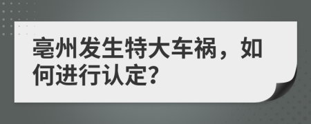 亳州发生特大车祸，如何进行认定？