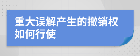 重大误解产生的撤销权如何行使