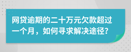 网贷逾期的二十万元欠款超过一个月，如何寻求解决途径？