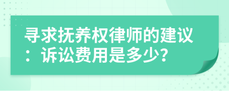 寻求抚养权律师的建议：诉讼费用是多少？