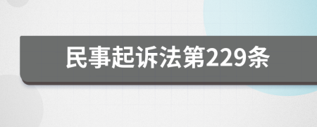 民事起诉法第229条