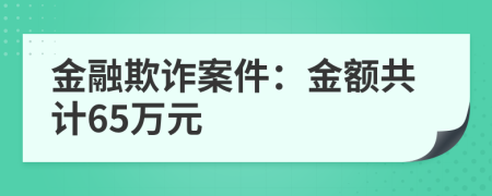金融欺诈案件：金额共计65万元
