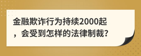 金融欺诈行为持续2000起，会受到怎样的法律制裁？