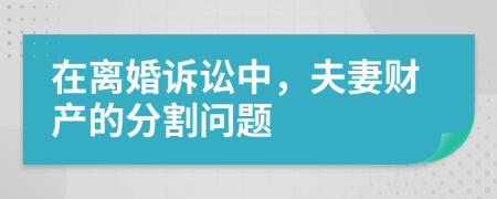 在离婚诉讼中，夫妻财产的分割问题