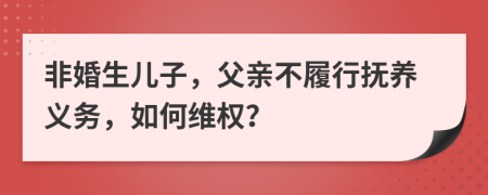 非婚生儿子，父亲不履行抚养义务，如何维权？