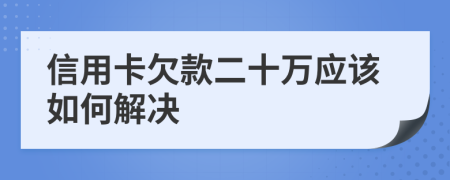 信用卡欠款二十万应该如何解决