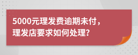 5000元理发费逾期未付，理发店要求如何处理？