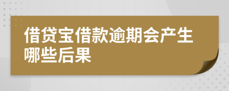 借贷宝借款逾期会产生哪些后果