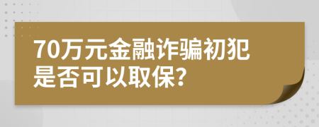 70万元金融诈骗初犯是否可以取保？