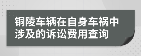 铜陵车辆在自身车祸中涉及的诉讼费用查询