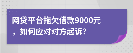 网贷平台拖欠借款9000元，如何应对对方起诉？