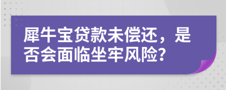 犀牛宝贷款未偿还，是否会面临坐牢风险？