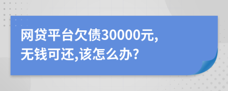网贷平台欠债30000元,无钱可还,该怎么办?