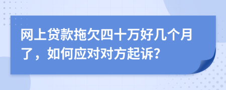 网上贷款拖欠四十万好几个月了，如何应对对方起诉？