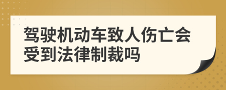 驾驶机动车致人伤亡会受到法律制裁吗