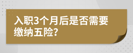入职3个月后是否需要缴纳五险？