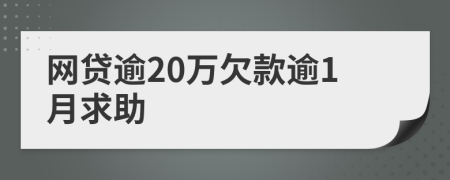 网贷逾20万欠款逾1月求助