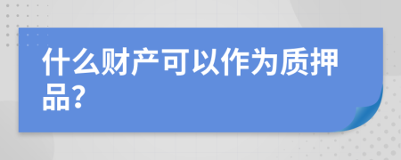 什么财产可以作为质押品？