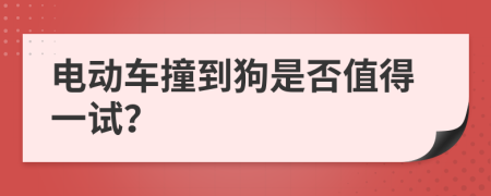 电动车撞到狗是否值得一试？