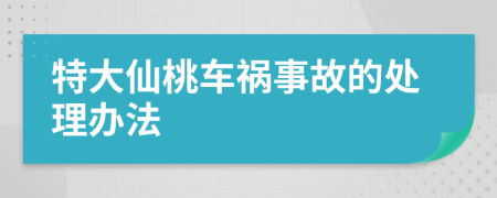 特大仙桃车祸事故的处理办法