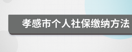 孝感市个人社保缴纳方法
