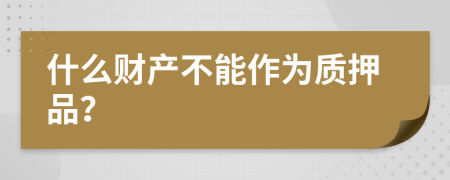 什么财产不能作为质押品？