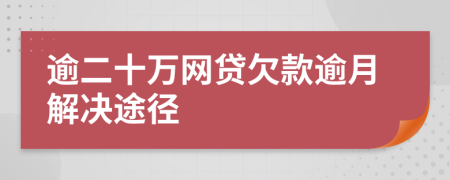 逾二十万网贷欠款逾月解决途径