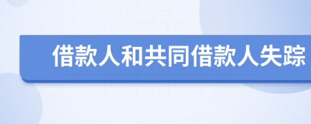 借款人和共同借款人失踪