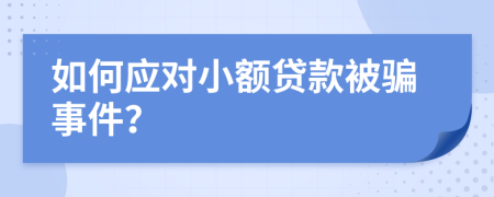 如何应对小额贷款被骗事件？