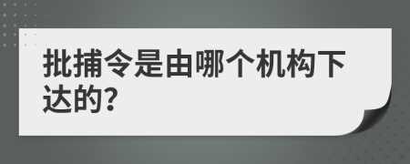批捕令是由哪个机构下达的？