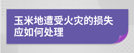 玉米地遭受火灾的损失应如何处理