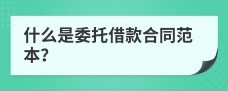 什么是委托借款合同范本？