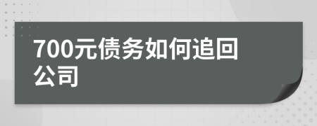 700元债务如何追回公司