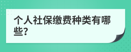 个人社保缴费种类有哪些？