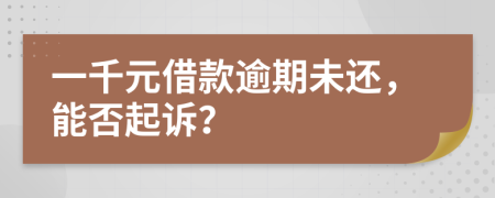 一千元借款逾期未还，能否起诉？