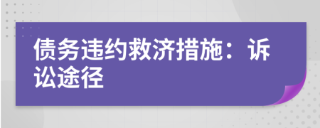 债务违约救济措施：诉讼途径