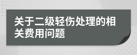 关于二级轻伤处理的相关费用问题