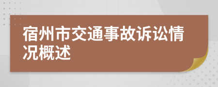 宿州市交通事故诉讼情况概述