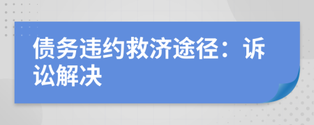 债务违约救济途径：诉讼解决