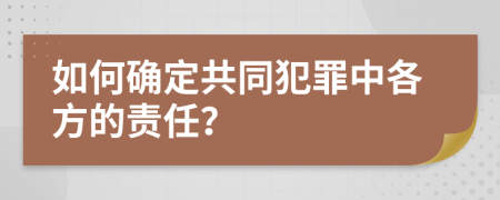 如何确定共同犯罪中各方的责任？