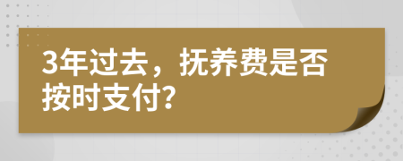 3年过去，抚养费是否按时支付？