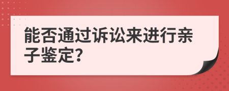 能否通过诉讼来进行亲子鉴定？