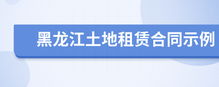 黑龙江土地租赁合同示例