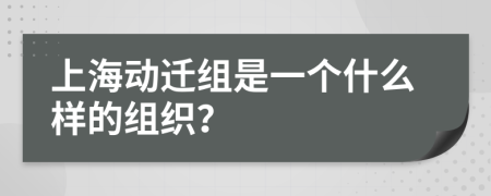 上海动迁组是一个什么样的组织？