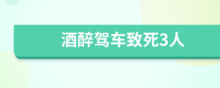 酒醉驾车致死3人