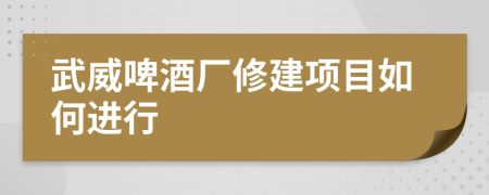 武威啤酒厂修建项目如何进行